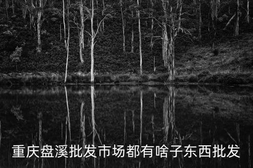 重慶市盤溪市場(chǎng)有賣餐包的嗎，重慶盤溪批發(fā)市場(chǎng)賣些什么東西