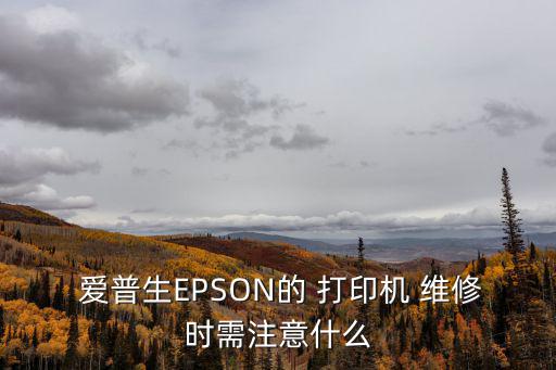  愛普生EPSON的 打印機 維修時需注意什么