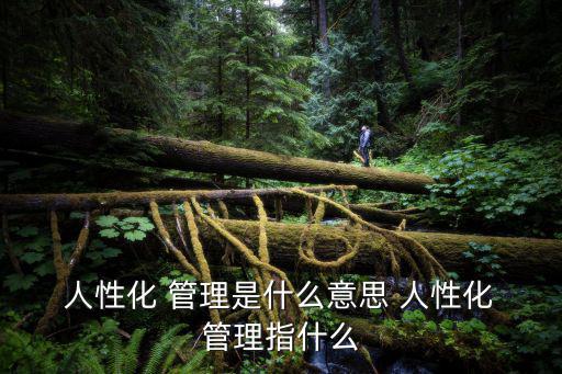  人性化 管理是什么意思 人性化 管理指什么