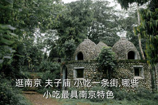 逛南京 夫子廟 小吃一條街,哪些 小吃最具南京特色