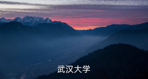 武漢大學
