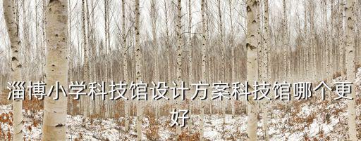 校園科技館建設(shè)方案，淄博小學(xué)科技館設(shè)計(jì)方案科技館哪個(gè)更好