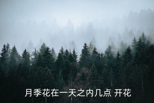  月季花在一天之內幾點 開花