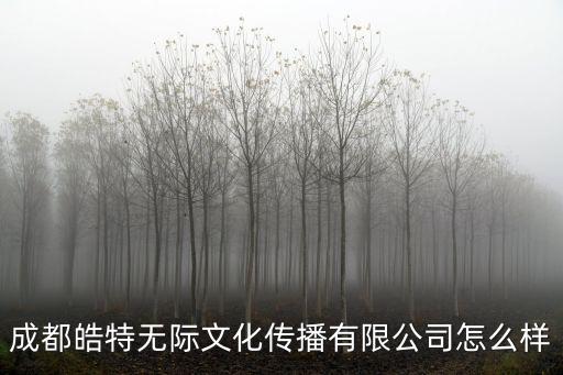 成都市皓文工程公司，成都皓特?zé)o際文化傳播有限公司怎么樣