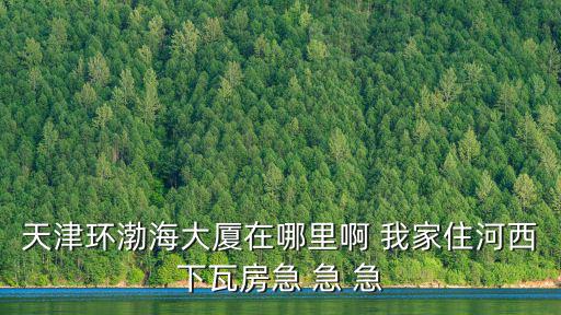 天津市河西區曲江路渤海樓，天津市 光大銀行 中信銀行 大連銀行 工商銀行 建設銀行 農行銀行 中國