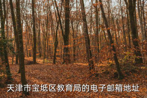 天津市河北區教育電子信箱系統，天津市寶坻區教育局的電子郵箱地址