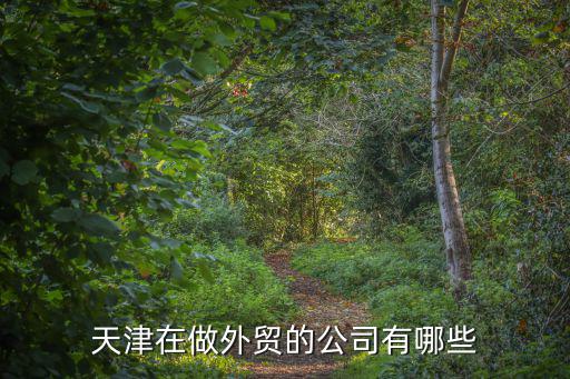 天津在做外貿(mào)的公司有哪些