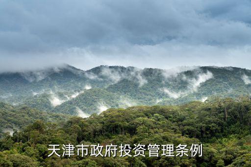 天津市政府辦公廳資金處資產，天津市資金處原處長被判幾年