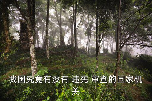 違憲審查制度,違憲審查設立特別憲法法院行使制度的權(quán)利