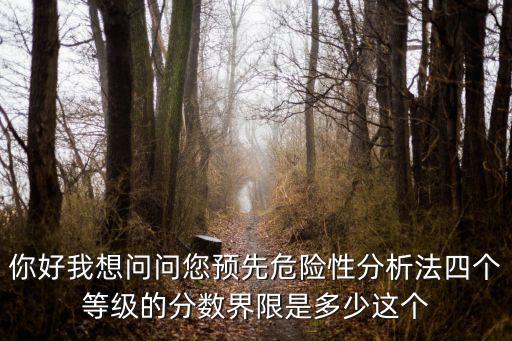 風險等級4個等級劃分，你好我想問問您預先危險性分析法四個等級的分數界限是多少這個