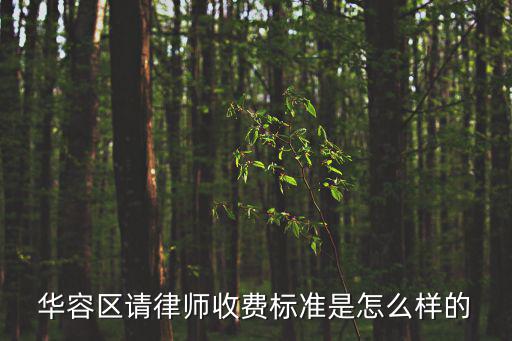 華容區(qū)請律師收費標(biāo)準(zhǔn)是怎么樣的