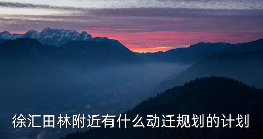 徐匯田林附近有什么動遷規(guī)劃的計(jì)劃