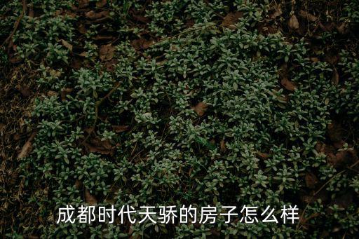 成都時代天驕的房子怎么樣