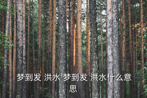  夢到發 洪水 夢到發 洪水什么意思