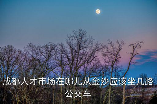 成都人才市場(chǎng)在哪兒從金沙應(yīng)該坐幾路公交車