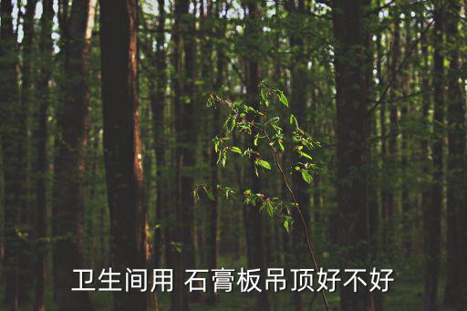 衛生間用 石膏板吊頂好不好