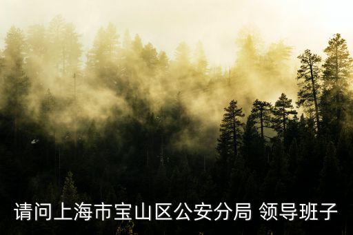 請(qǐng)問上海市寶山區(qū)公安分局 領(lǐng)導(dǎo)班子