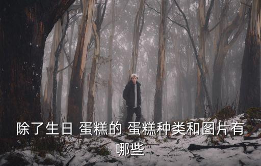 除了生日 蛋糕的 蛋糕種類和圖片有哪些