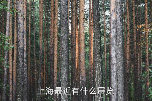 上海最近有什么展覽