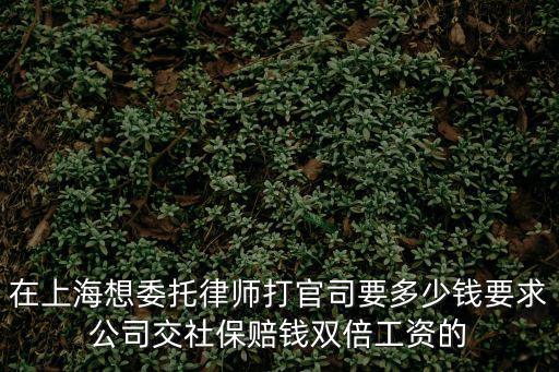 上海找律師打官司一般要花多少錢，上海請律師打離婚官司一般要花多少錢怎么收費