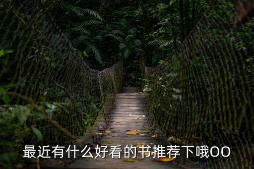 最近有什么好看的書推薦下哦OO