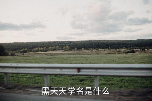 黑天天學(xué)名是什么