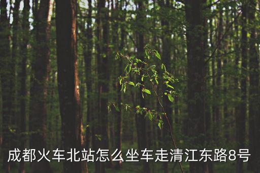 成都市清江東路坐幾號地塊，成都清江東路8號屬于哪個區