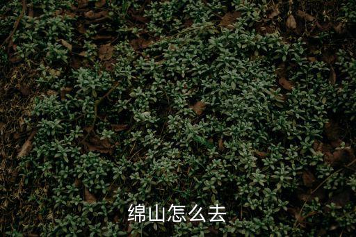 綿山怎么去