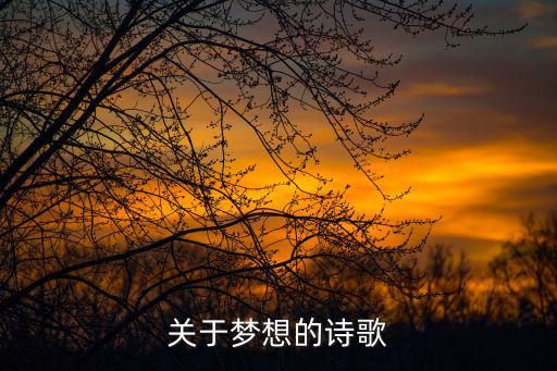 關于夢想的詩歌