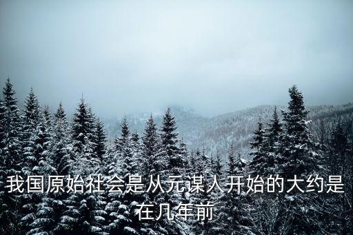 我國(guó)原始社會(huì)是從元謀人開始的大約是在幾年前
