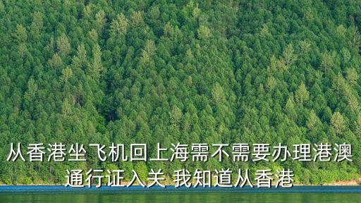 從香港坐飛機回上海需不需要辦理港澳通行證入關 我知道從香港
