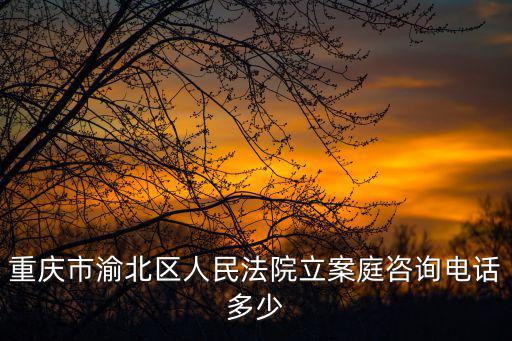 重慶市渝北區人民法院立案庭咨詢電話多少
