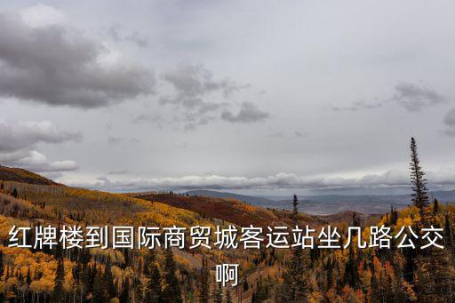 紅牌樓到國際商貿城客運站坐幾路公交啊