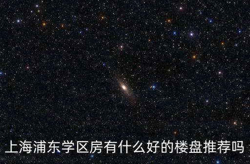 上海浦東學(xué)區(qū)房有什么好的樓盤推薦嗎