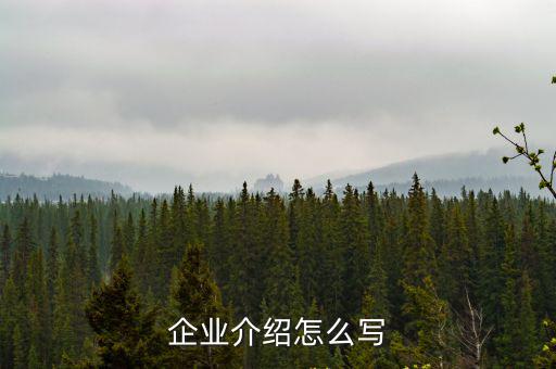 企業(yè)介紹怎么寫