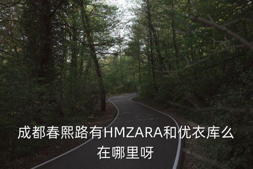 成都春熙路有HMZARA和優衣庫么在哪里呀