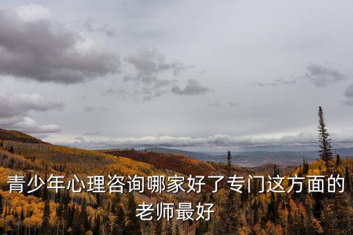青少年心理咨詢哪家好了專門這方面的老師最好