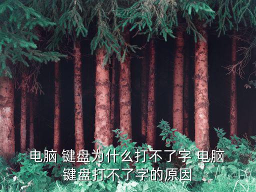  電腦 鍵盤為什么打不了字 電腦 鍵盤打不了字的原因