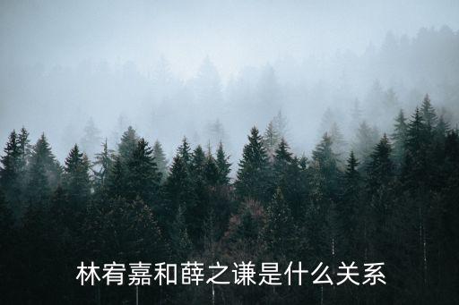 林宥嘉照片,林宥賈和深夜相擁甜蜜又溫柔?