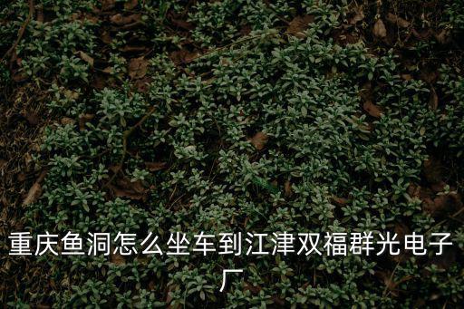重慶魚洞怎么坐車到江津雙福群光電子廠
