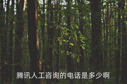 騰訊人工咨詢的電話是多少啊
