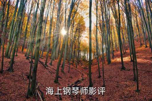 海上鋼琴師觀后感，海上鋼琴師影評1000字
