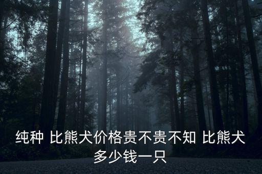 純種 比熊犬價格貴不貴不知 比熊犬多少錢一只