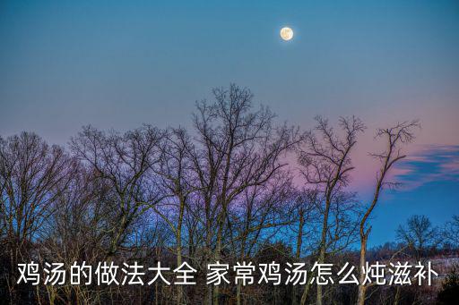 雞湯的做法大全 家常雞湯怎么燉滋補