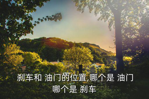 剎車和油門,新手司機(jī):超車時(shí)應(yīng)輕踩油門到一半以防意外