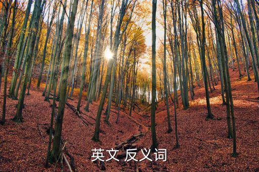 英文 反義詞