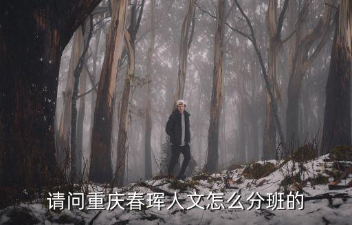 請問重慶春琿人文怎么分班的