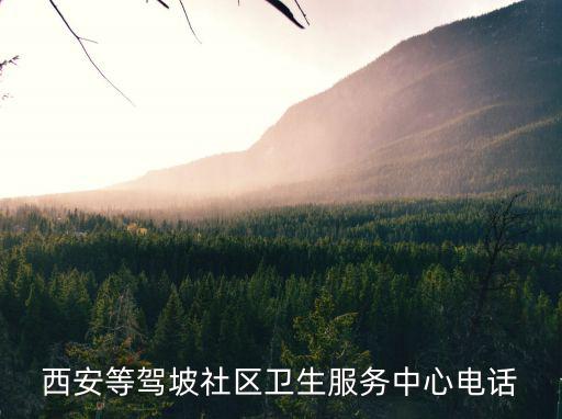 西安等駕坡社區(qū)衛(wèi)生服務(wù)中心電話