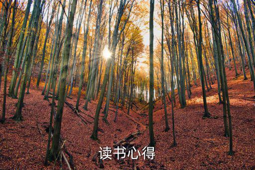 讀書會心得體會，讀書心得