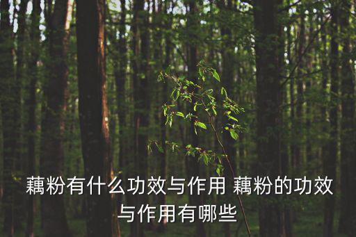  藕粉有什么功效與作用 藕粉的功效與作用有哪些